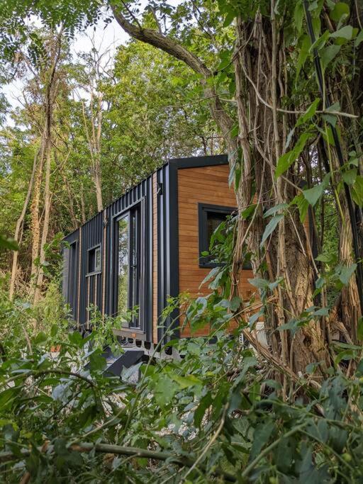 Jungle Wagon - Ecovillage Hainburg Hainburg an der Donau Zewnętrze zdjęcie