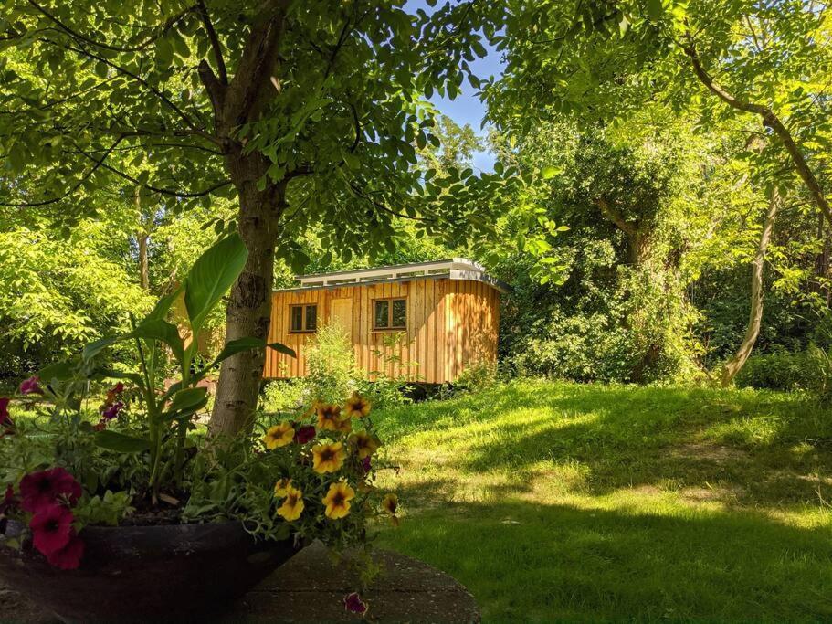 Jungle Wagon - Ecovillage Hainburg Hainburg an der Donau Zewnętrze zdjęcie