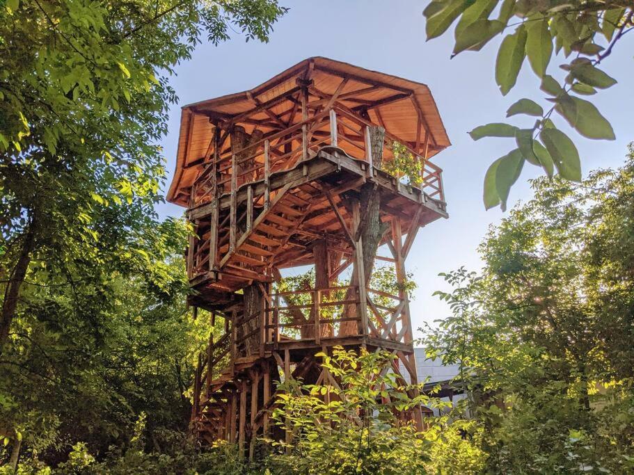 Jungle Wagon - Ecovillage Hainburg Hainburg an der Donau Zewnętrze zdjęcie